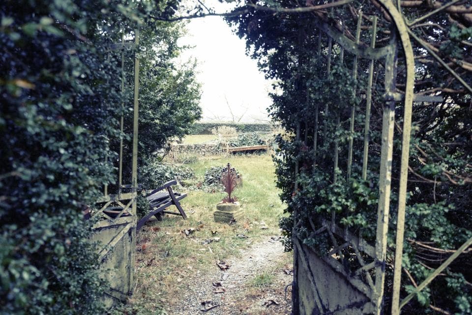 Verwilderter Garten mit dicht überwuchertem Rankgitter am Zugang, unregelmäßiger Rasenfläche und einer verwitterten Holzbank