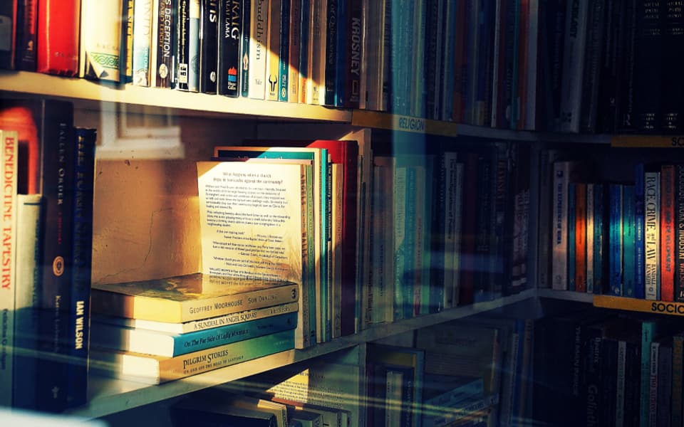 Raumhohe Bücherregalwand aus Holz mit Leiter