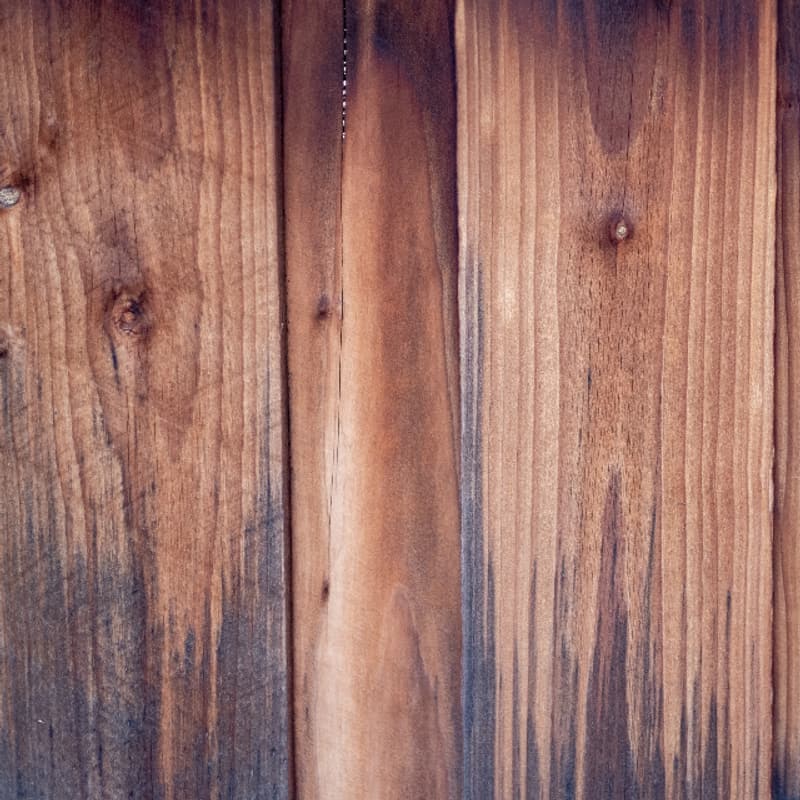 Nahaufnahme einer Kiefernoberfläche mit sichtbaren Ästen
